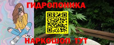 индика Ликино-Дулёво