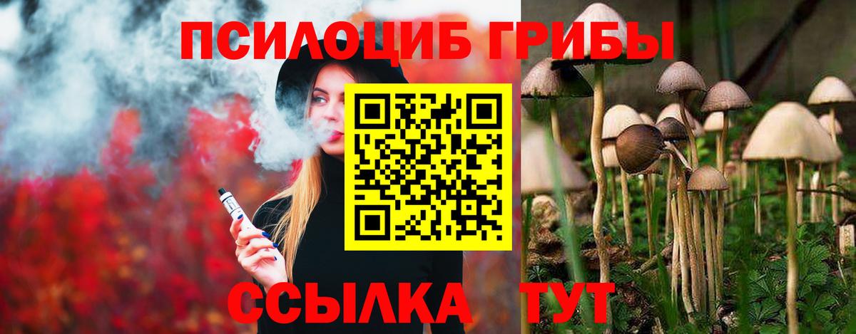 Галлюциногенные грибы ЛСД Кизилюрт